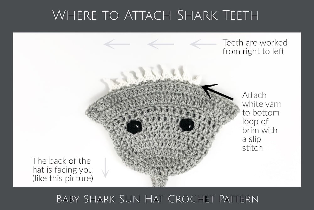 Where to attach shark teeth
