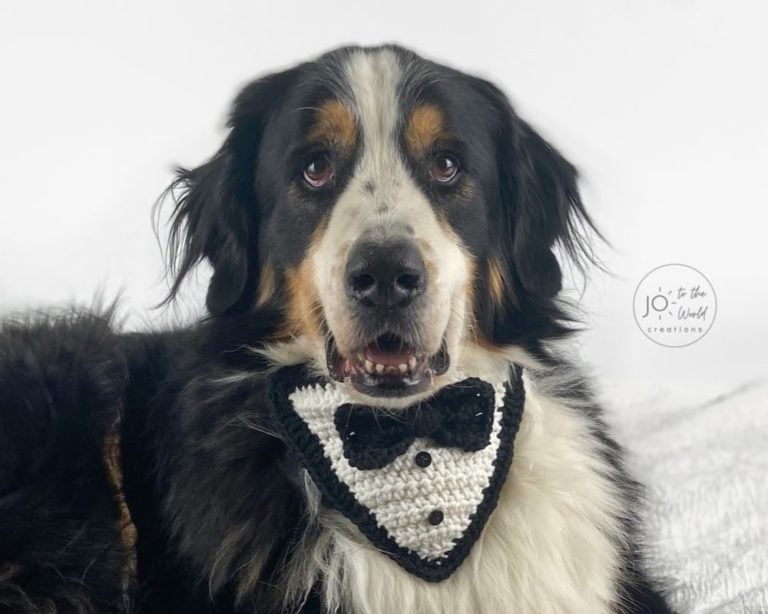 Tuxedo Dog Bandana – Free Crochet Pattern