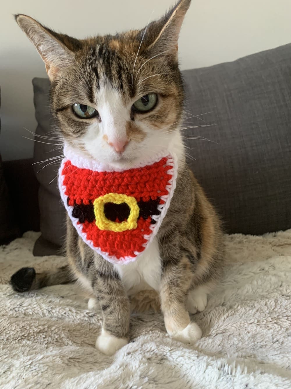 Crochet Christmas Cat Bandana 