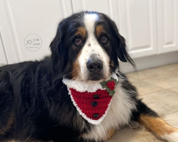 Christmas Dog Scarf Crochet Pattern