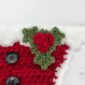 Christmas Holly Crochet