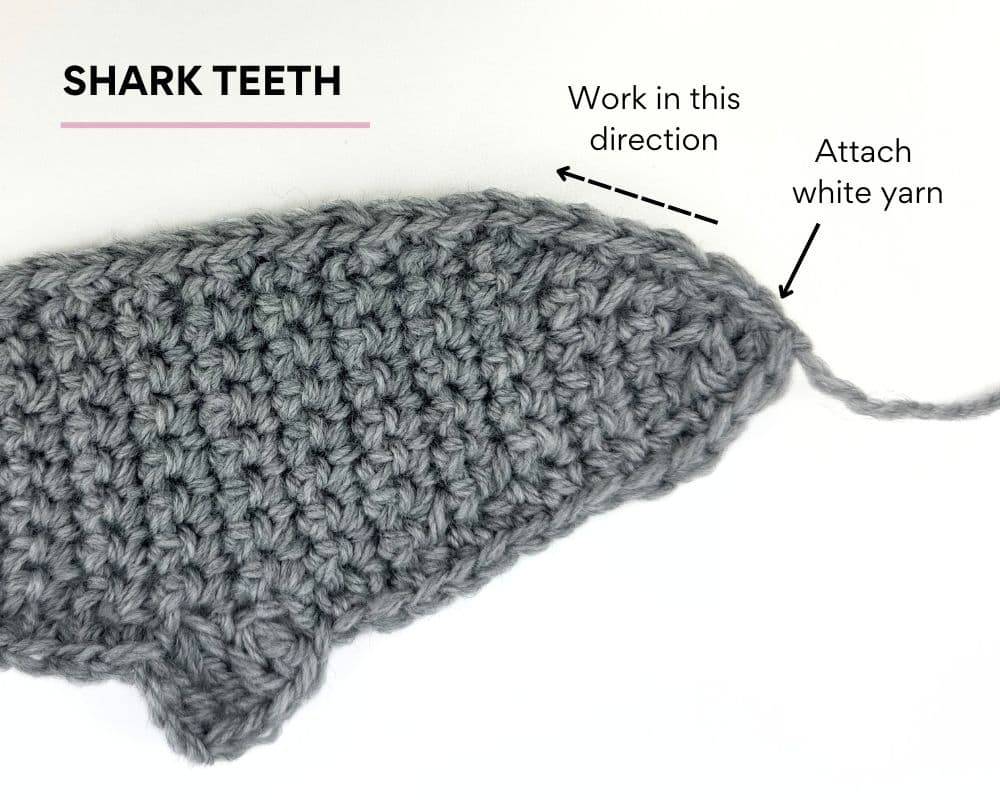 Shark Teeth