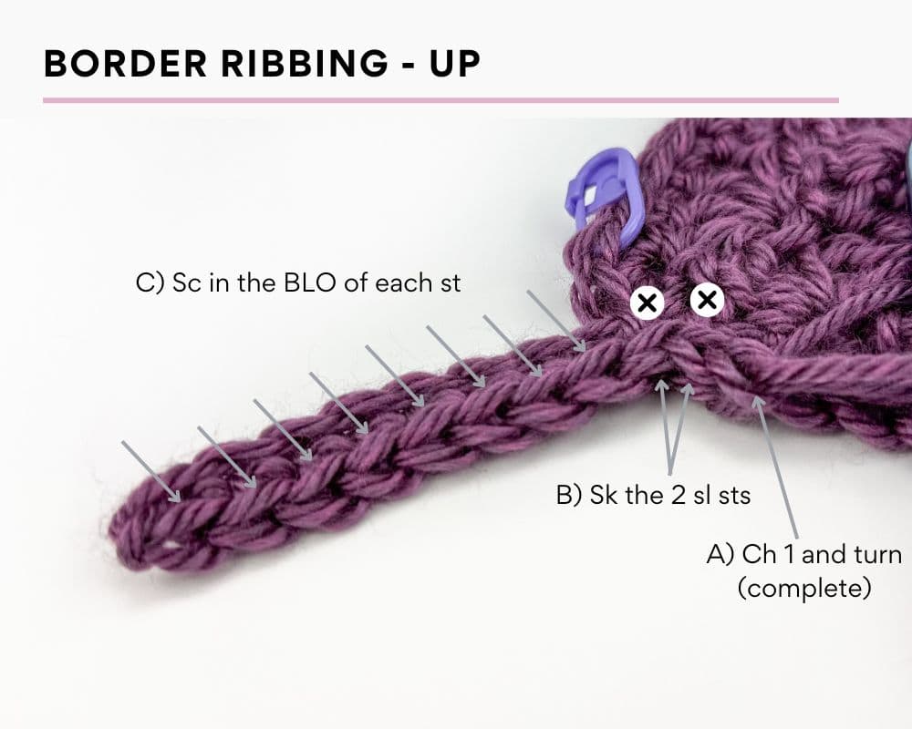 Border Ribbing - Up