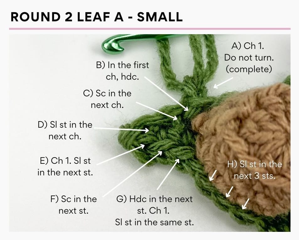 Round 2 Leaf A - Small