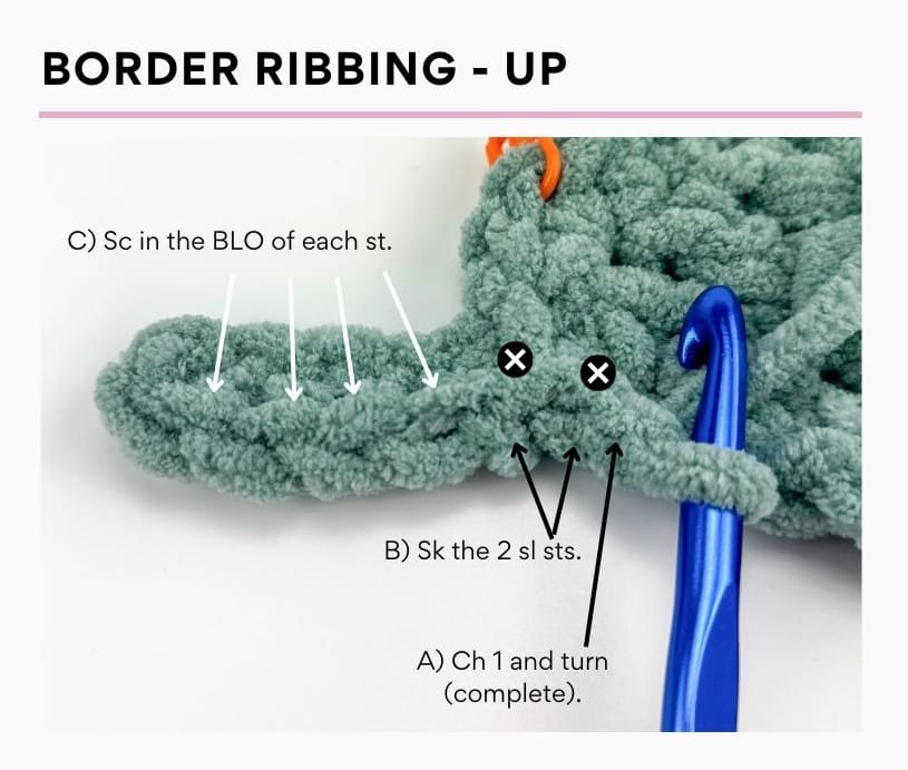 Border Ribbing Up