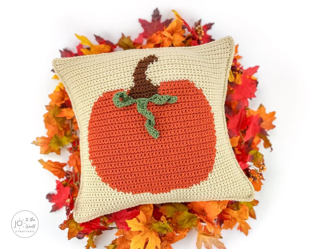 Fall Crochet Pillow