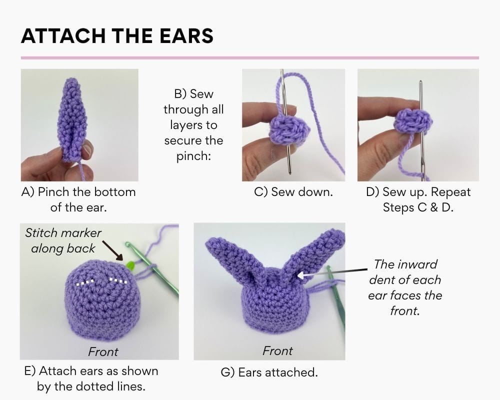 Attach the Ears