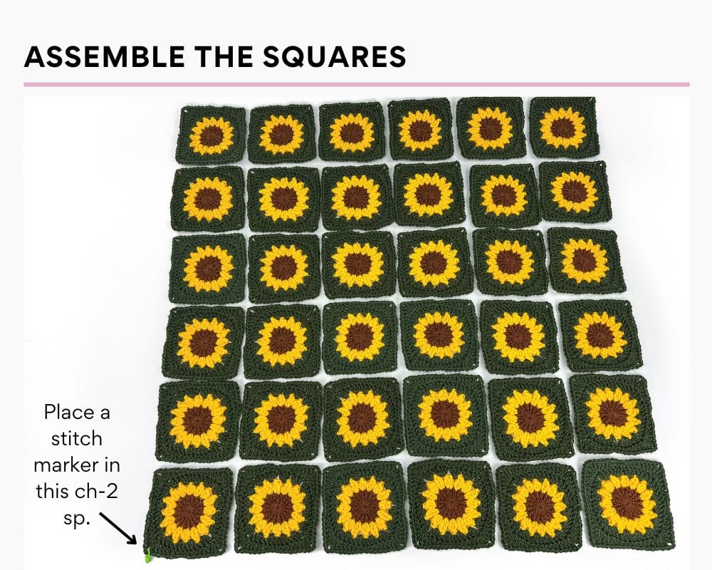 Assemble the Squares